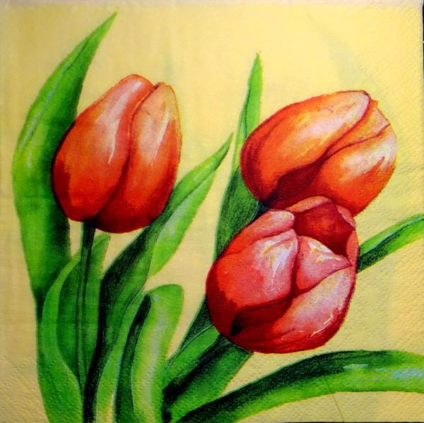 136 Tulpen - 3-lagig